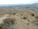photo thumbnail #13