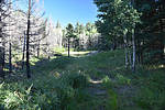 photo thumbnail #3