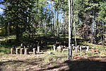 photo thumbnail #5