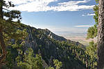 photo thumbnail #8