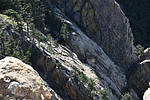 photo thumbnail #13