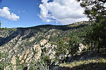 photo thumbnail #14