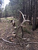 photo thumbnail #2