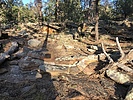 photo thumbnail #4