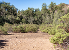 2019-09-20 :: West Pinto Trail #212 :: 00blackout