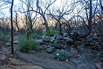 photo thumbnail #6