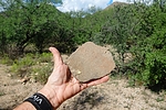 photo thumbnail #7