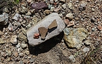 photo thumbnail #9