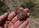 photo thumbnail #11