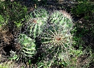 photo thumbnail #14