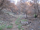 photo thumbnail #7