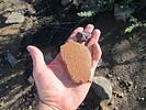 photo thumbnail #14