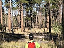 photo thumbnail #7