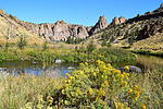 photo thumbnail #15