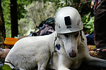photo thumbnail #10