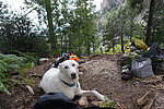 photo thumbnail #11