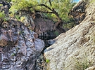 photo thumbnail #2