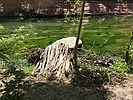 photo thumbnail #8