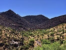 photo thumbnail #10