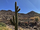photo thumbnail #15