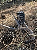 photo thumbnail #2