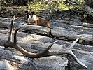 photo thumbnail #3