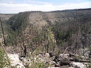 recent photo