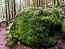 photo thumbnail #10