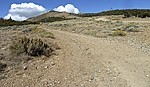 photo thumbnail #11