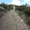 photo thumbnail #14