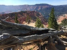 photo thumbnail #2