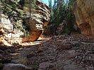 photo thumbnail #9