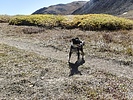 photo thumbnail #2