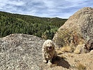 photo thumbnail #2