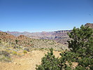 photo thumbnail #3