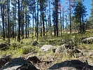 photo thumbnail #1