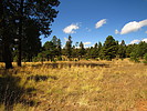 photo thumbnail #7