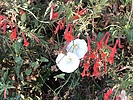 photo thumbnail #15