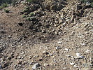 photo thumbnail #14
