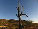photo thumbnail #1