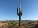 photo thumbnail #8