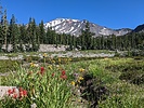 2019-09-02 :1: South Gate Loop :: lojones5