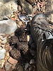 photo thumbnail #3