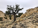 photo thumbnail #14