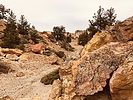 photo thumbnail #15