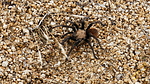 photo thumbnail #11