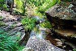 photo thumbnail #12
