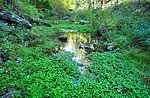 photo thumbnail #13