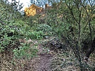 photo thumbnail #9