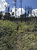 photo thumbnail #9